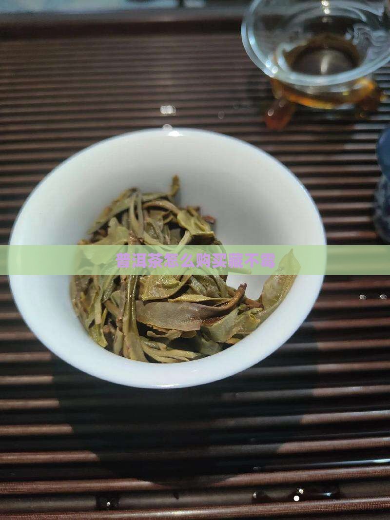 普洱茶怎么购买藏不霉