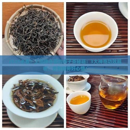 柿子茶的功效与作用