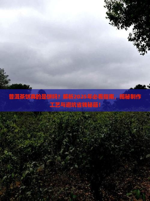 普洱茶饼是饼吗