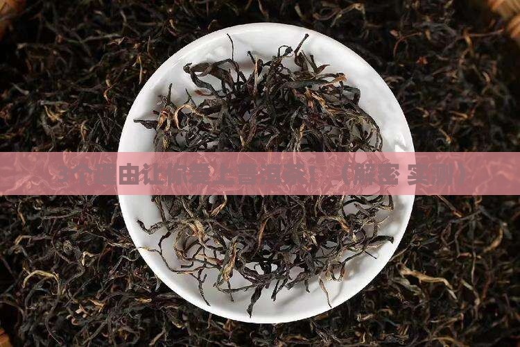茶多酚普洱茶之精华