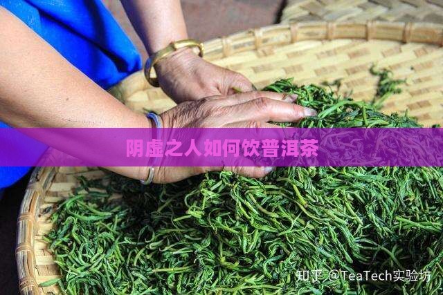 阴虚之人如何饮普洱茶