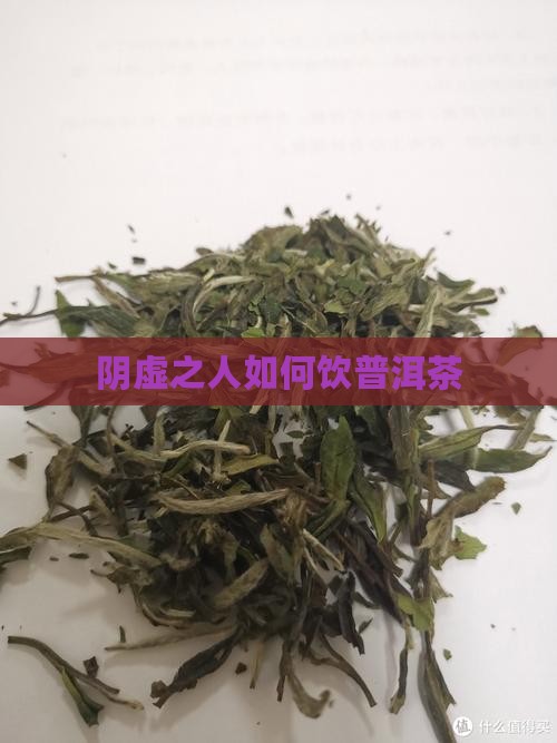 阴虚之人如何饮普洱茶