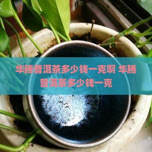 华腾普洱茶多少钱一克