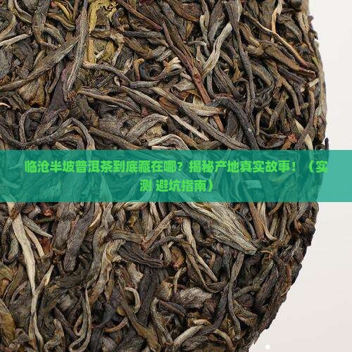 临沧半坡普洱茶产地