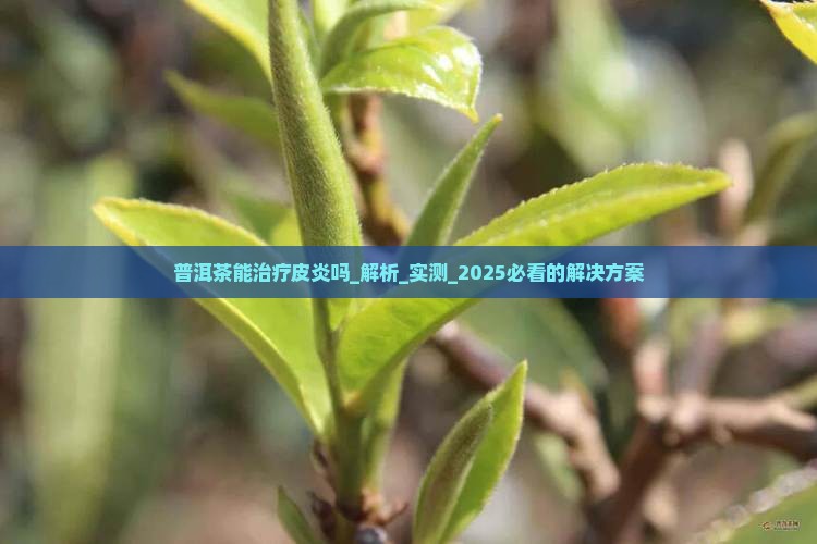 普洱茶能治疗皮炎吗