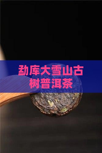 勐库大雪山古树普洱茶