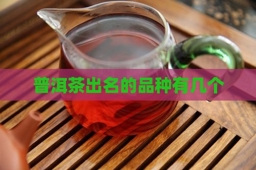 普洱茶出名的品种有几个