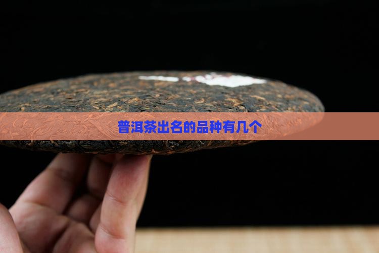 普洱茶出名的品种有几个