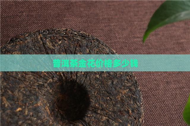 普洱茶金花价格多少钱