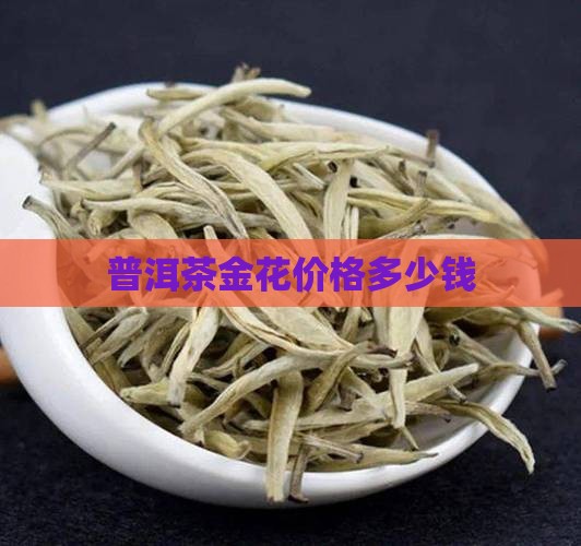 普洱茶金花价格多少钱