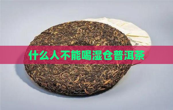什么人不能喝湿仓普洱茶