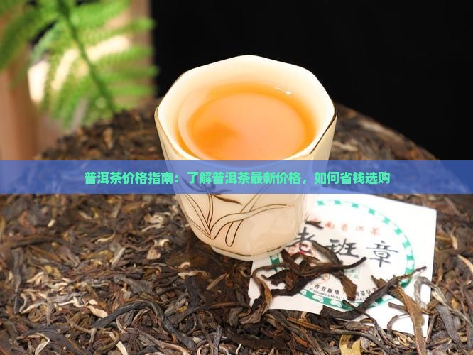 普洱茶又涨价了吗现在多少钱
