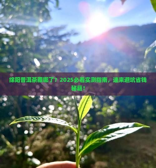 绵阳有普洱茶的专卖店吗