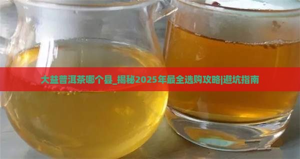 大益普洱茶哪个县