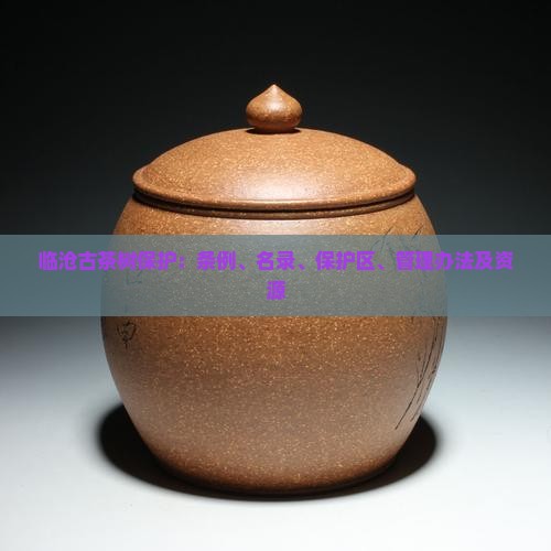 临沧古茶树保护