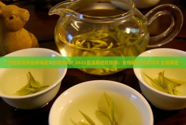 贵阳普洱茶咨询电话