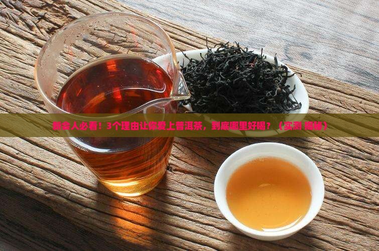 新会特产精绝普洱茶