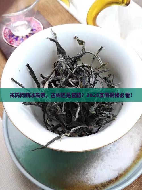戎氏问鼎冰岛是古树茶吗