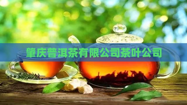 肇庆普洱茶公司