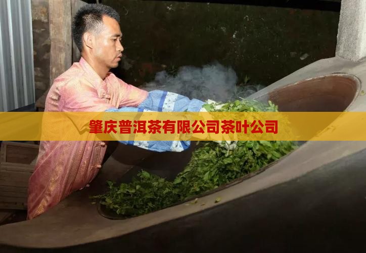肇庆普洱茶公司