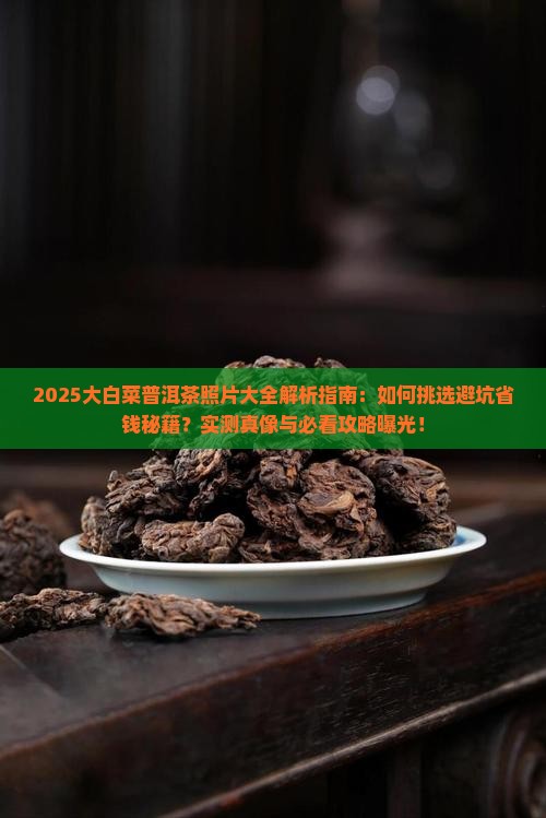 大白菜普洱茶的照片大全