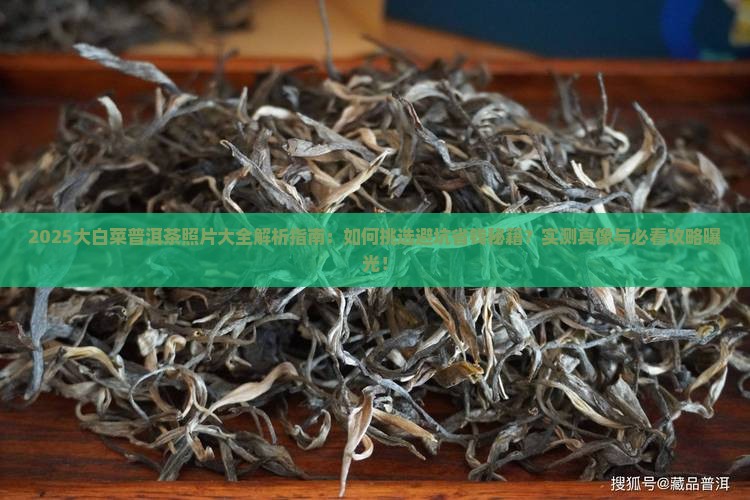 大白菜普洱茶的照片大全