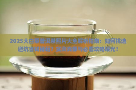 大白菜普洱茶的照片大全