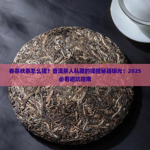 普洱茶春茶和秋茶揉捏