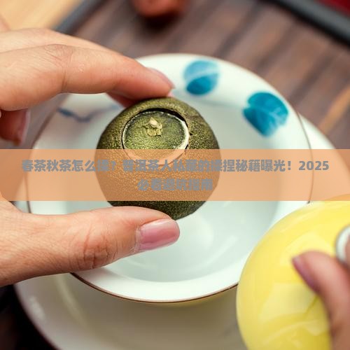 普洱茶春茶和秋茶揉捏