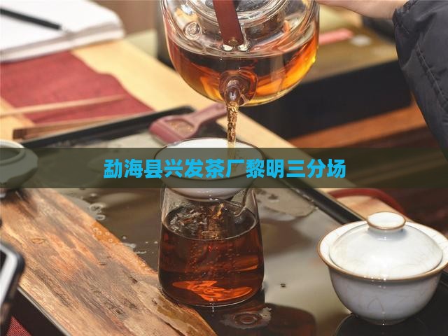 勐海县兴发茶厂黎明三分场
