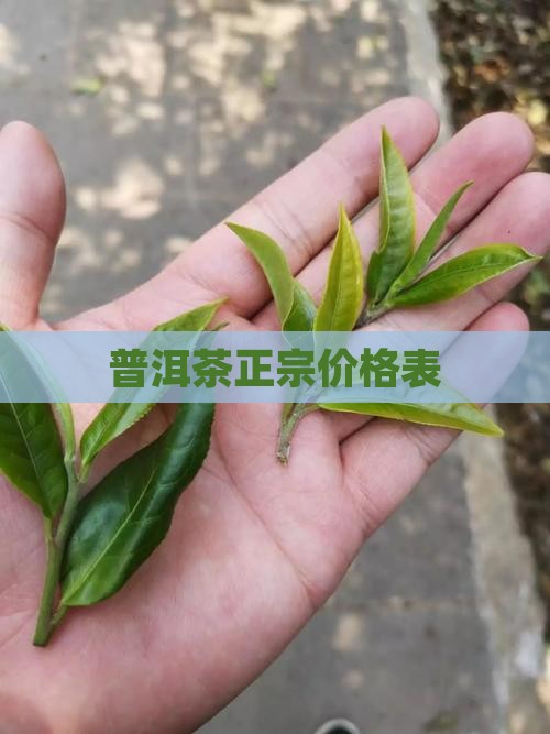 普洱茶正宗价格表