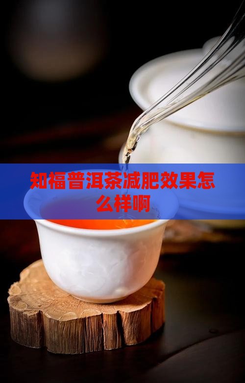 知福普洱茶减肥效果怎么样