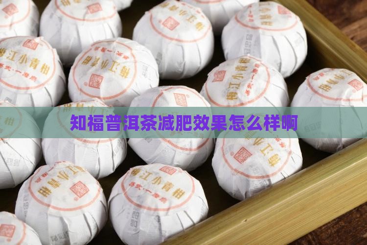 知福普洱茶减肥效果怎么样