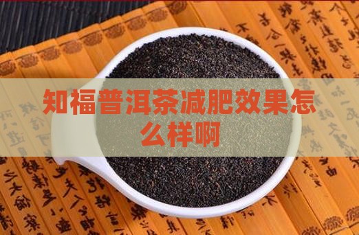 知福普洱茶减肥效果怎么样