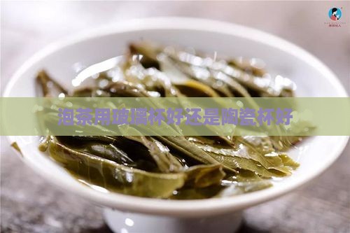 泡茶用玻璃杯好还是陶瓷杯好