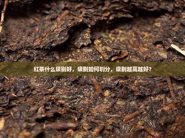 红茶什么级别好