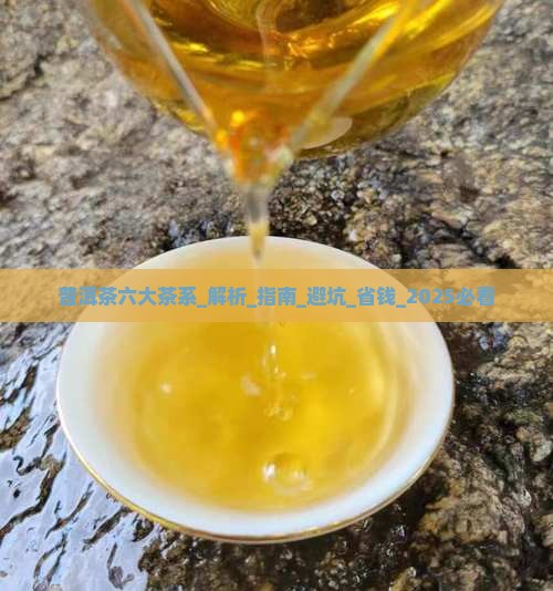 普洱茶六大茶系