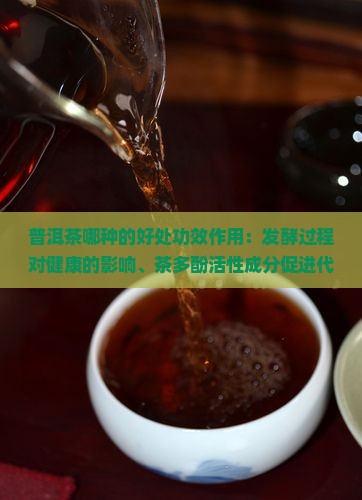 普洱茶哪种的好处
