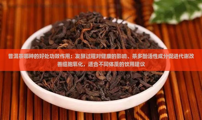 普洱茶哪种的好处