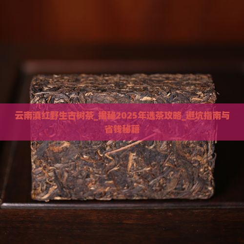云南滇红野生古树茶