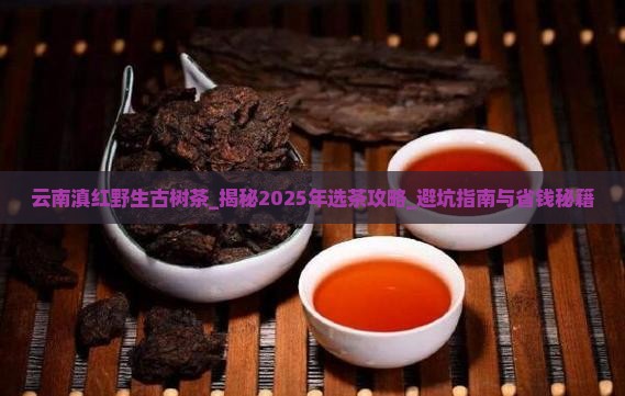 云南滇红野生古树茶
