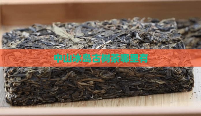 中山冰岛古树茶哪里有