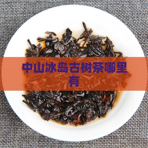 中山冰岛古树茶哪里有