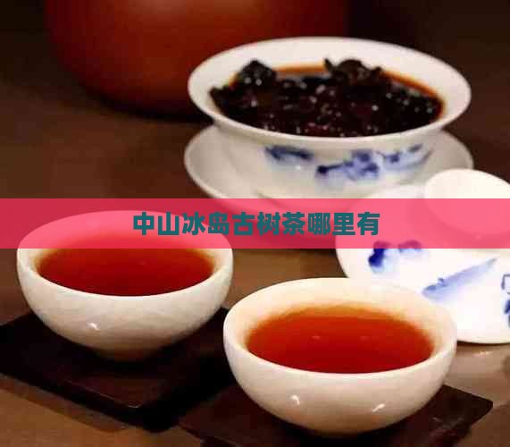 中山冰岛古树茶哪里有