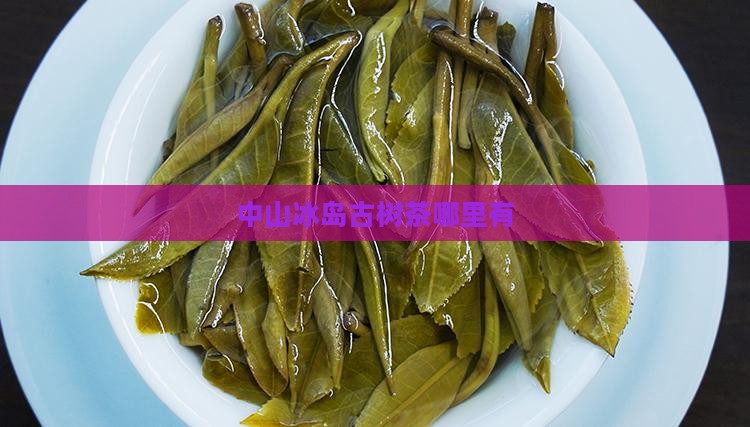 中山冰岛古树茶哪里有