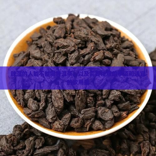 脾湿的人能不能喝普洱茶