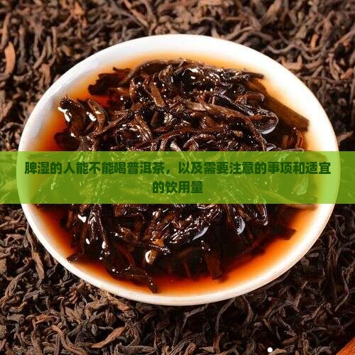 脾湿的人能不能喝普洱茶
