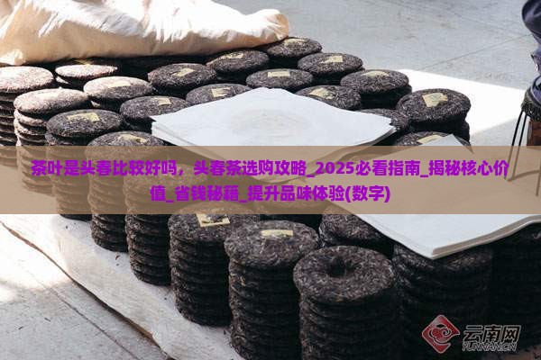 茶叶是头春比较好吗