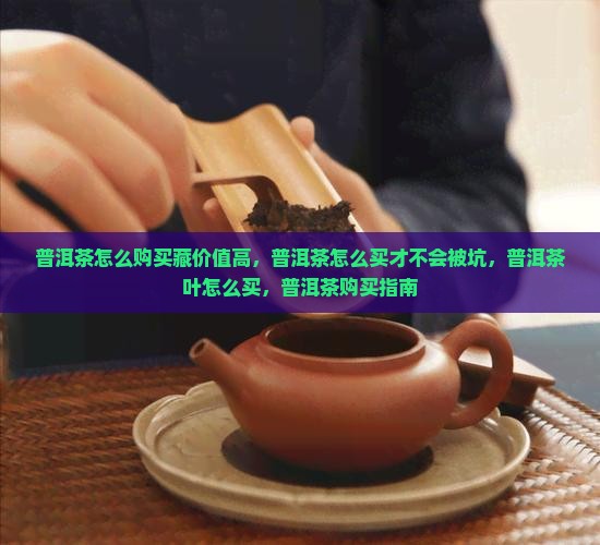 普洱茶怎么购买藏价值高
