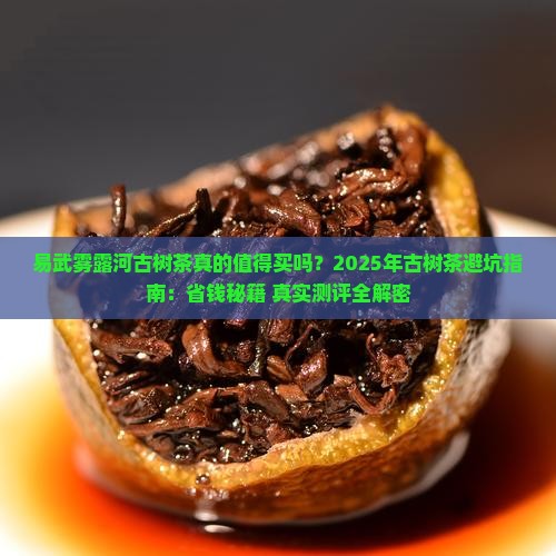 易武雾露河古树茶